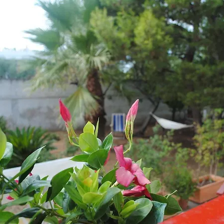 Nocleg ze śniadaniem Annavi 3*