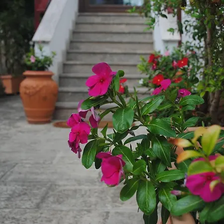 Annavi Nocleg ze śniadaniem