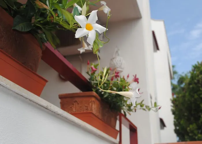 Bed & Breakfast Annavi