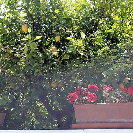 Annavi Bed & Breakfast 3*