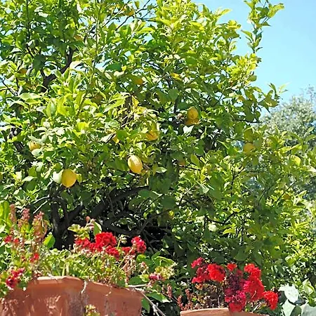 Annavi Bed & Breakfast 3*
