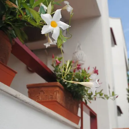 Bed and breakfast Annavi