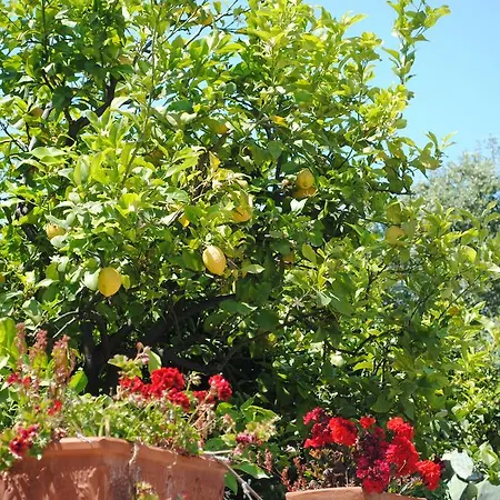 Annavi Bed and breakfast