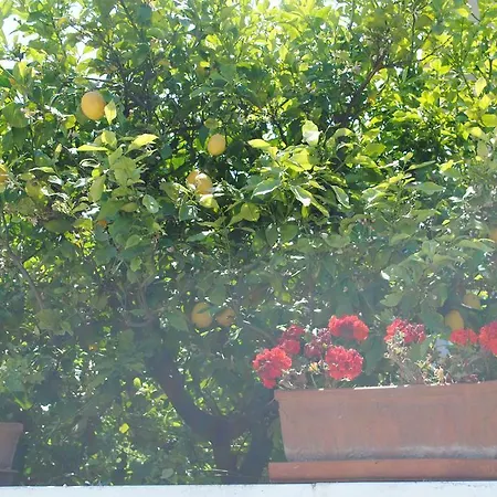 Bed and breakfast Annavi 3*