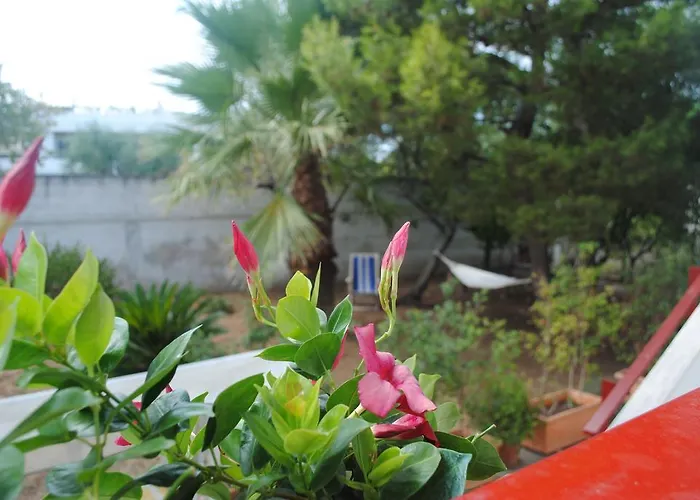 Bed & Breakfast Annavi 3*